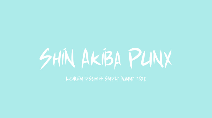 Shin Akiba Punx Font Family