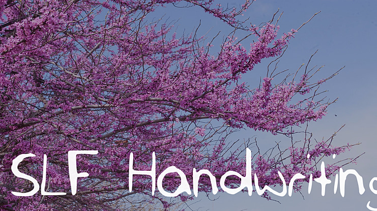 SLF_Handwriting Font