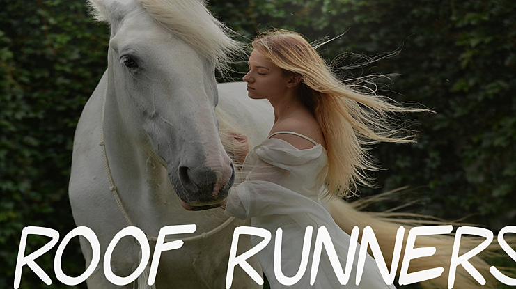 Roof runners Font Family