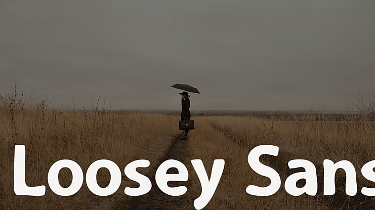 Loosey Sans Font