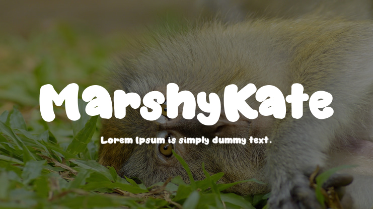 MarshyKate Font