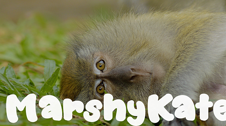 MarshyKate Font