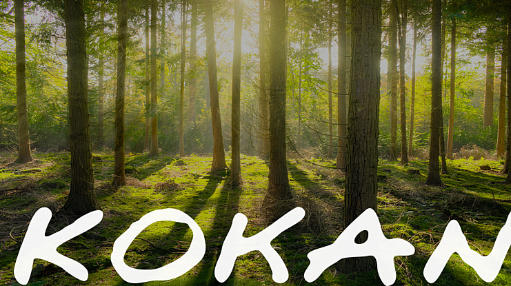 Kokan Font