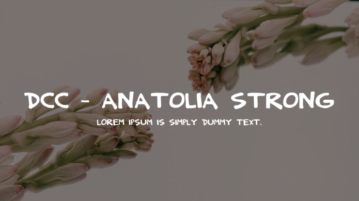 DCC - Anatolia Strong Font
