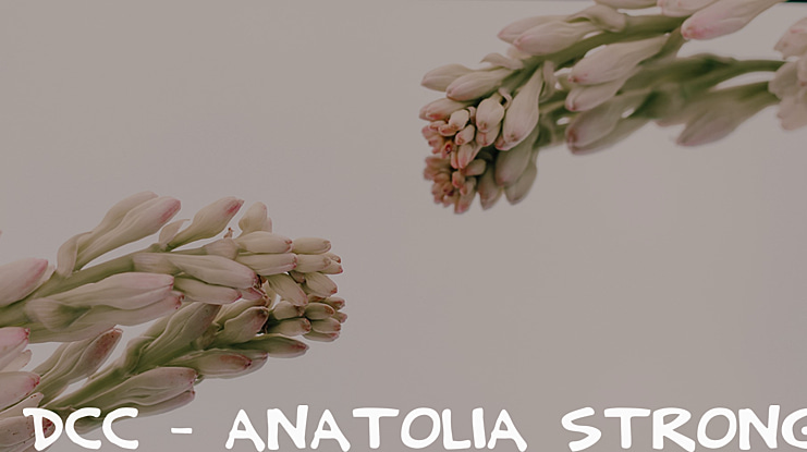 DCC - Anatolia Strong Font