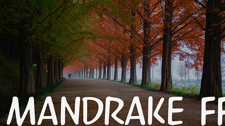 Mandrake FF Font