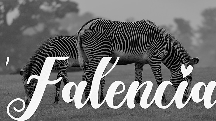 Falencia Font Family