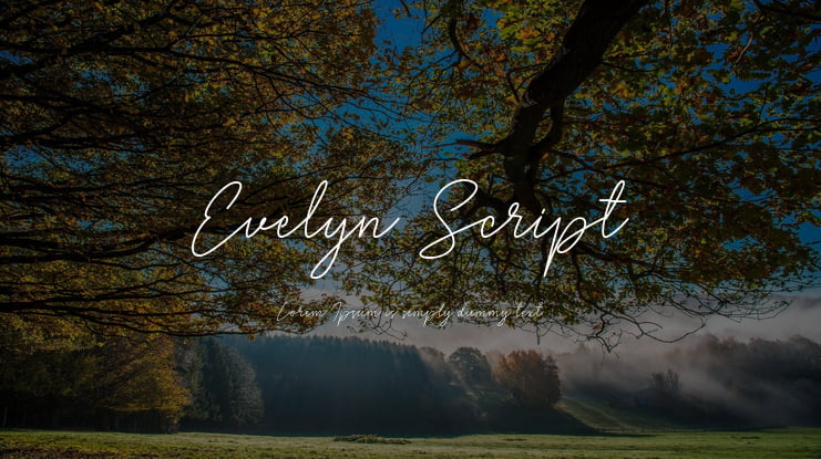 Evelyn Script Font