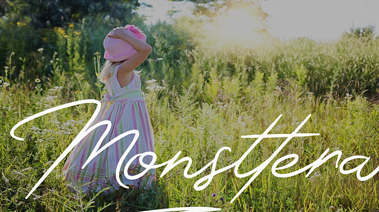 Monsttera Font