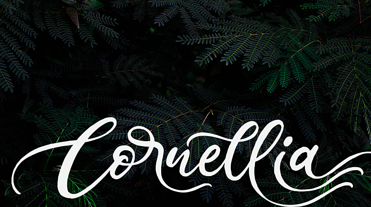 Cornellia Font