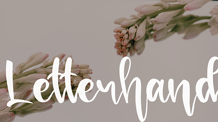 Letterhand Font