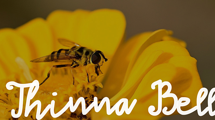 Thinna Bell Font
