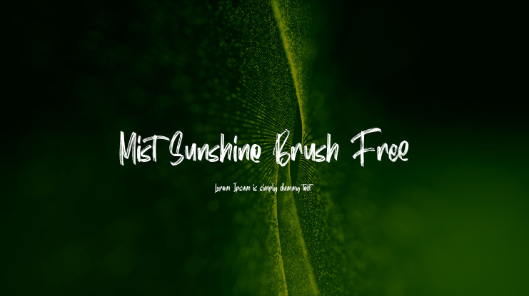 Mist Sunshine Brush Free Font
