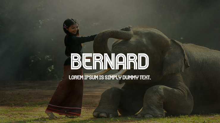 Bernard Font