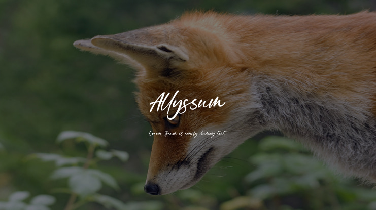 Allyssum Font Family