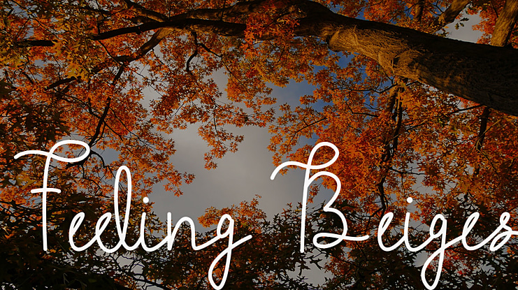 Feeling Beiges Font