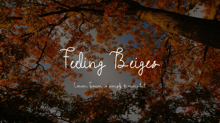 Feeling Beiges Font
