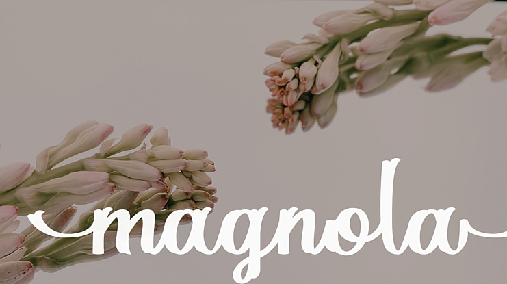 Magnola Font