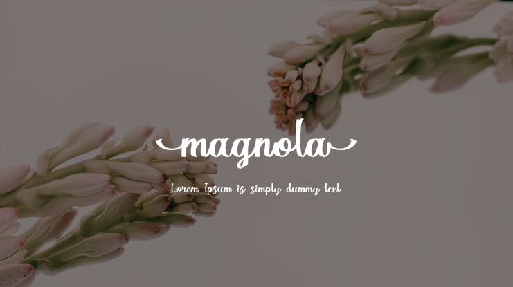 Magnola Font