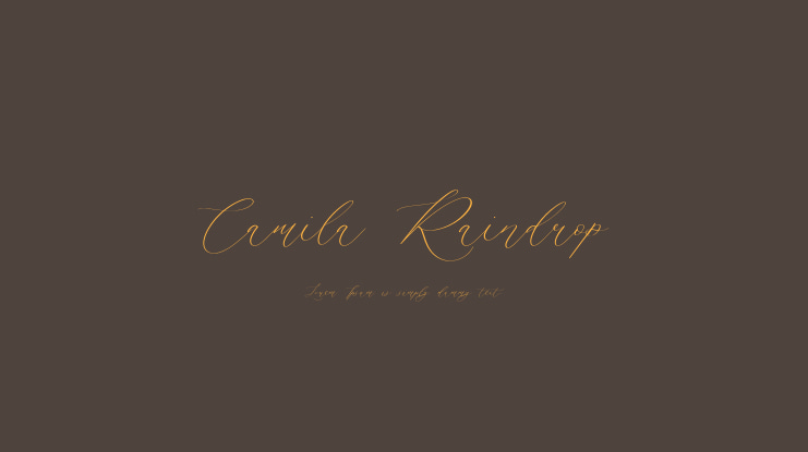 Camila Raindrop Font