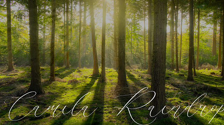 Camila Raindrop Font