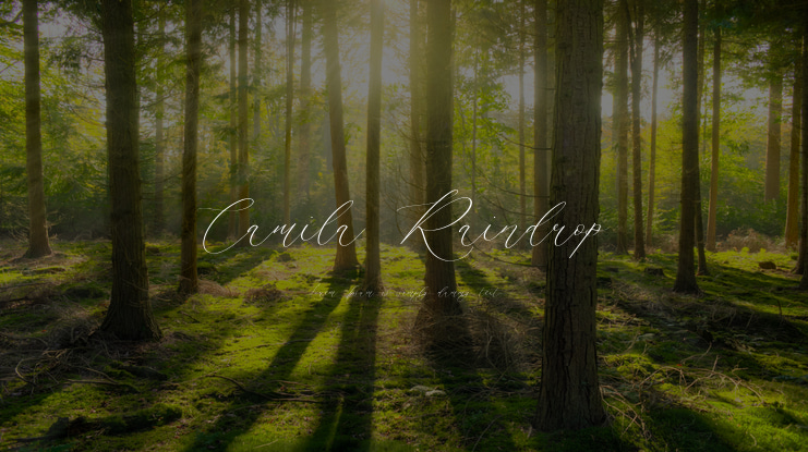 Camila Raindrop Font