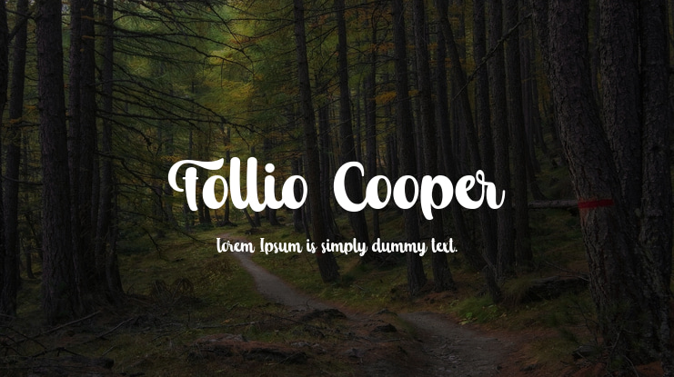 Follio Cooper Font
