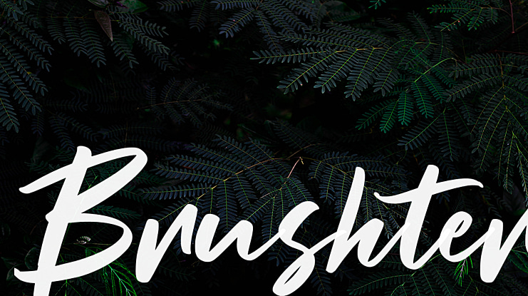 Brushter Font