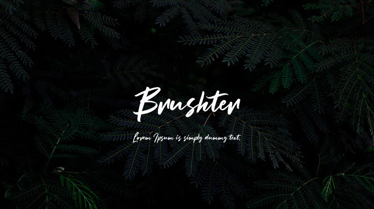Brushter Font