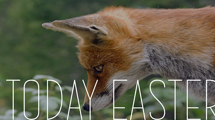 Today Easter Font