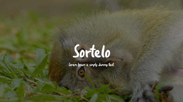 Sortelo Font Family