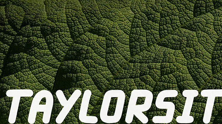 Taylorsit Font Family