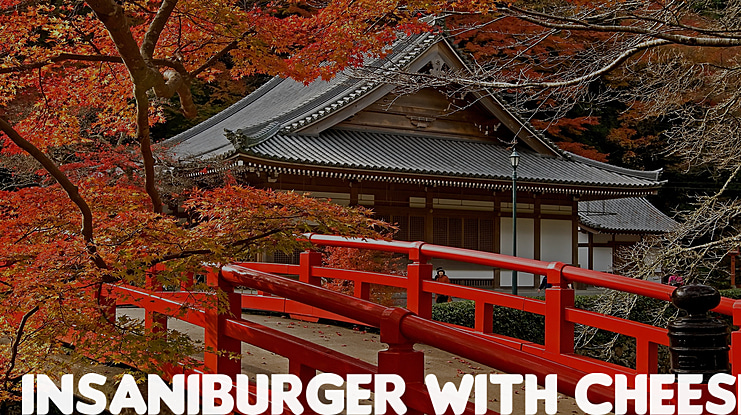 Insaniburger Font Family