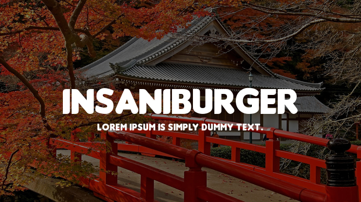 Insaniburger Font Family
