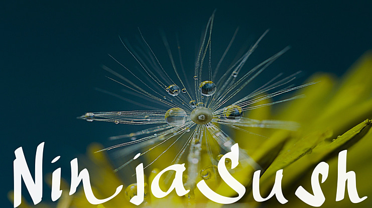 NinjaSushi Font