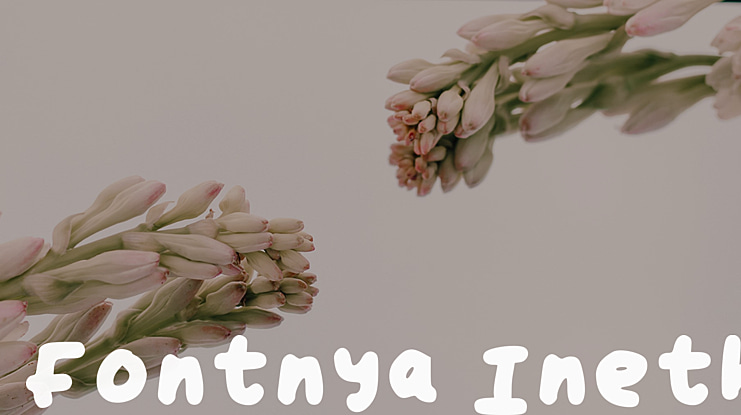 Fontnya Ineth Font