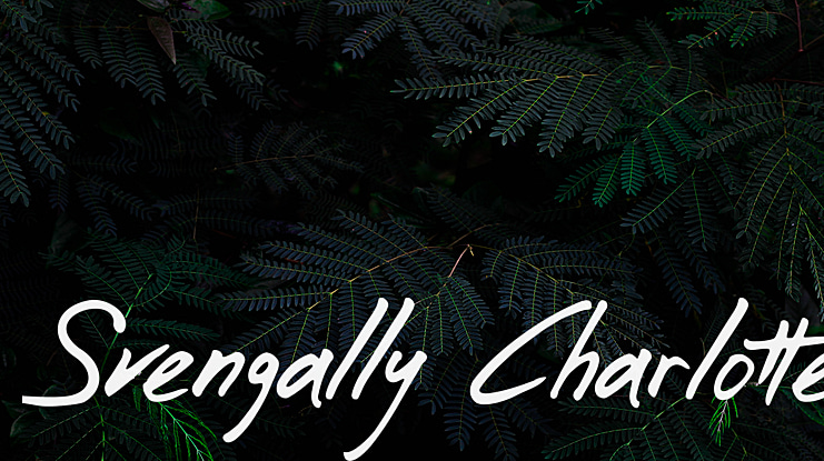 Svengally Charlotte Font