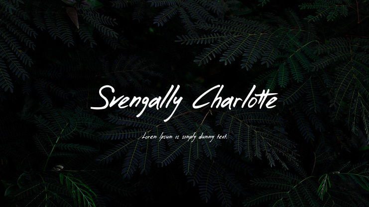 Svengally Charlotte Font