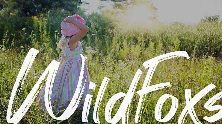 WildFoxs Font