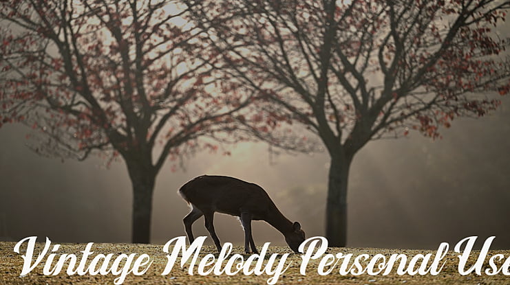 Vintage Melody Personal Use Font