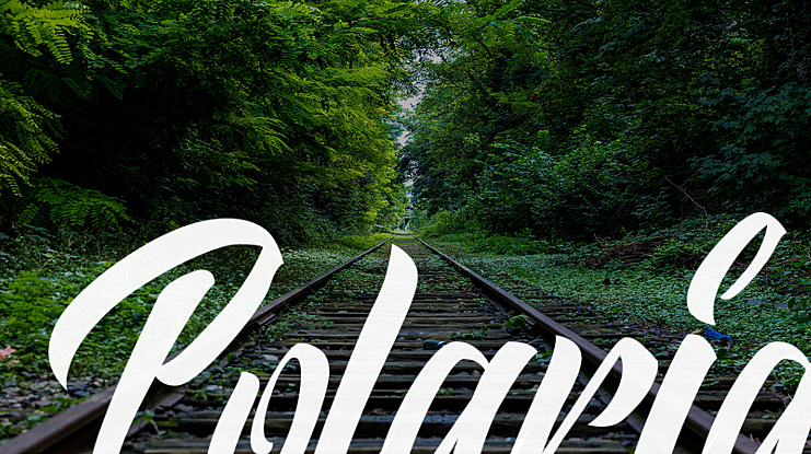 Polaria Font Family