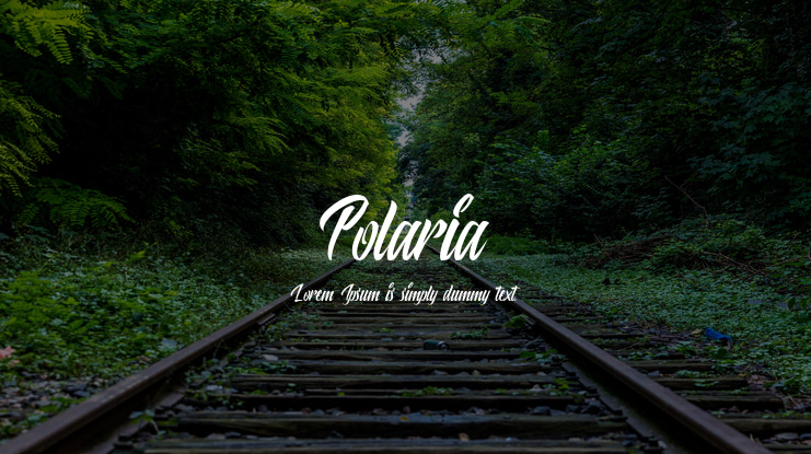 Polaria Font Family