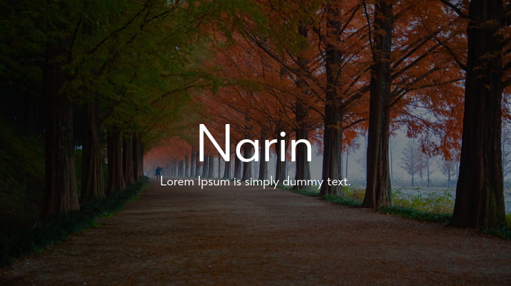 Narin Font Family