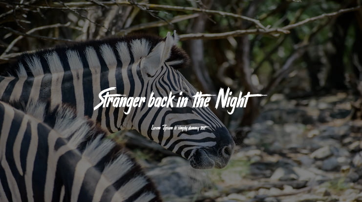 Stranger back in the Night Font