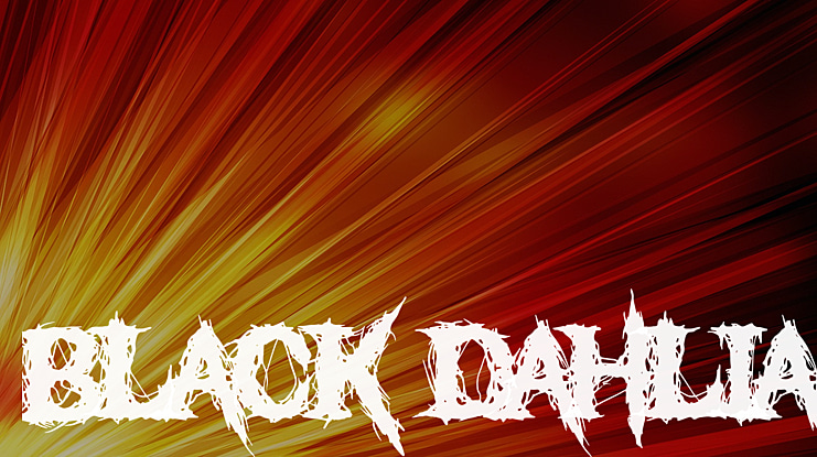 Black Dahlia Font