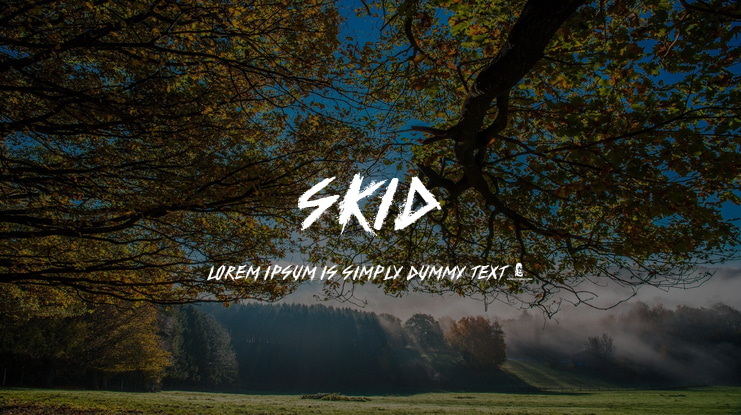 SKID Font