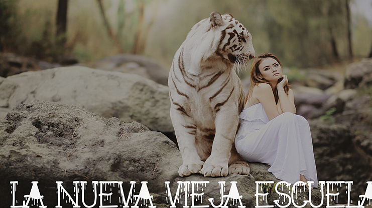 La Nueva Vieja Escuela Font