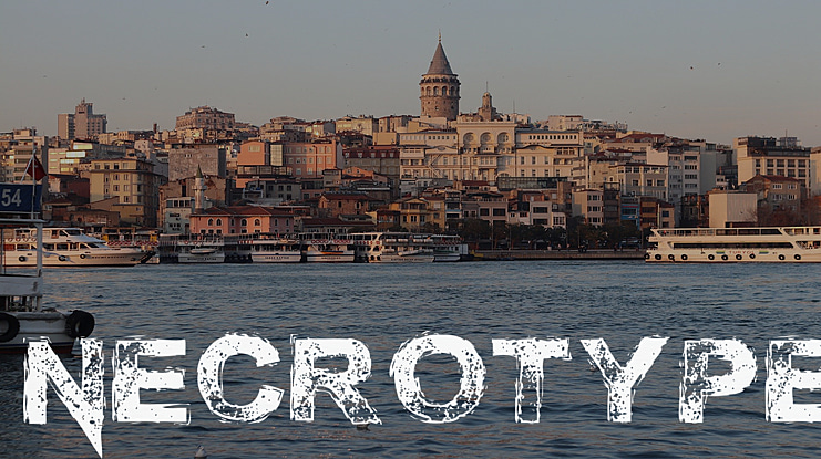 Necrotype Font