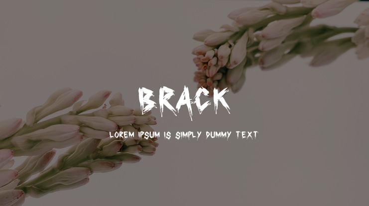 Brack Font