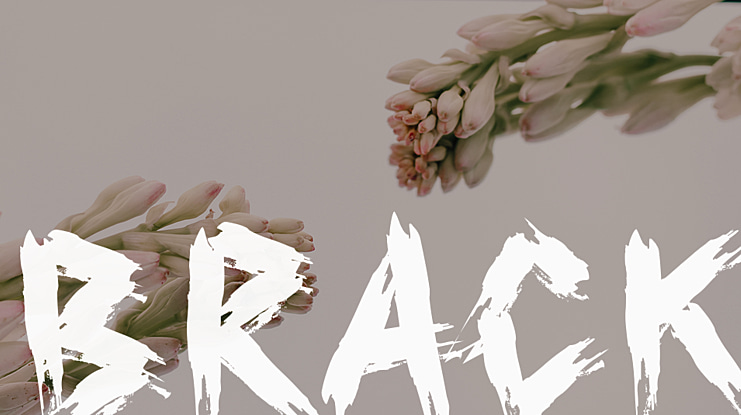Brack Font
